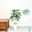 フェイクグリーン 大型 パキラ高さ90cm フェイクグリーン 大型 光触媒付 つやあり葉 人工観葉植物 造花 リアル 高品質 アーティフィシャルグリーン 鉢植え