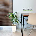 フェイクグリーン ハラン ドラセナ 大型 高さ約80cm 樹脂鉢 白鉢 観葉植物 フェイク 光触媒 抗菌 人工観葉植物 造花 人工 観葉植物 おしゃれ リアル ...