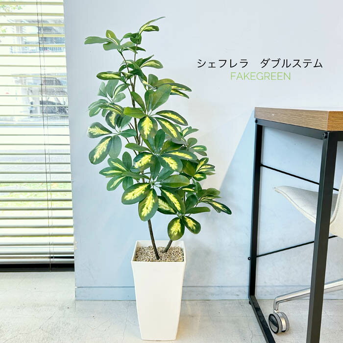 楽天市場】カポック(種類(植物)ドラセナ(幸福の木))(人工 楽天市場】カポック(種類(植物)ドラセナ(幸福の木))(人工