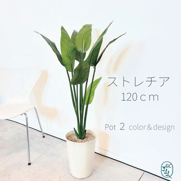楽天市場】人工観葉植物 ストレリチアの通販 楽天市場】人工観葉植物 ストレリチアの通販
