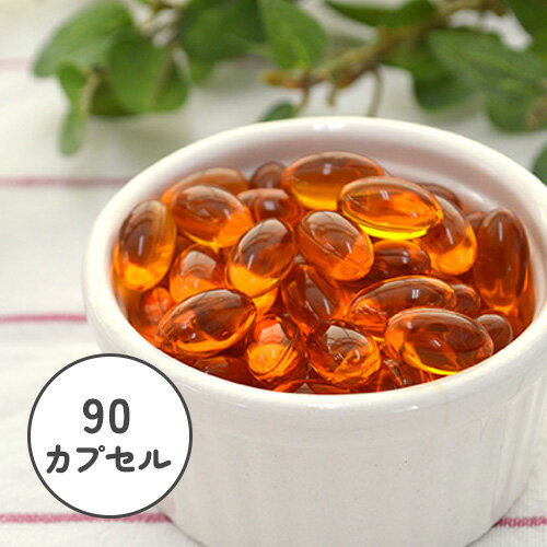 ワイルドアラスカン　サーモンオイル　カプセル　90カプセル（45ml)