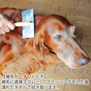 �ڤ���¾����������ʤ����ץ졼�����ס�(��ǭ����)��400ml��15���ޤǤ���ʸ������ȯ�� ������ �����ס������ ���� ǭ�ѡ�