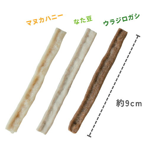 【その他厳選】マヌカハニーのはみがきガム　10本【15時までの注文で当日発送 正規...