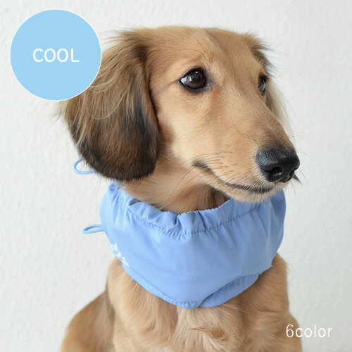 ڤ¾IDOG ICE HOLD ͥå顼 աڿ̸ۡM15ޤǤʸȯ  ⡦Ф...