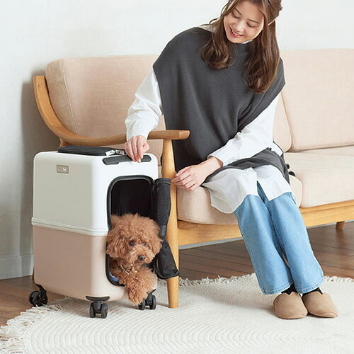 �ڤ���¾������PETiCO�ʥڥ����ˡ�iCO�ץڥåȥ���꡼�ܥ쥤�󥫥С���M��15���ޤǤ���ʸ������ȯ�� ������ ���졼�ȡ�����꡼�Хå� ���� ǭ�ѡ�