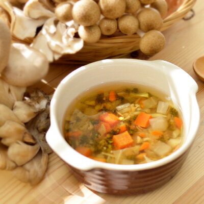 楽天グリーンドッグ＆キャット【ディッシュスタイル】たっぷりきのこの黄金ベジタブルブロス　120g【15時までの注文で当日発送 正規品 トッピング食材 野菜・果物・ハーブ 犬用】