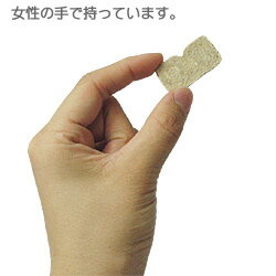 【ドットわん】ドットわんフルーツクッキー リン...の紹介画像2