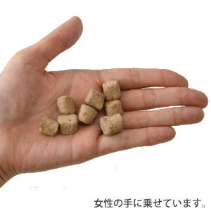 �ڥե����饤��ʥ�����ۥե����饤�� �ʥ����� �ե꡼���ɥ饤����ࡦ�ȥ꡼�ġ�50g��15���ޤǤ���ʸ������ȯ�� ������ ����� ���㡼�������������� ǭ�ѡ�