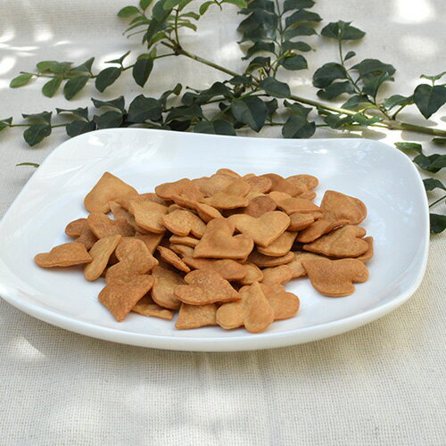 【プレミアム】サプリビスケット　グルコサミン&乳酸菌　60g【15時までの注文で当日発送 正規品 おやつ..