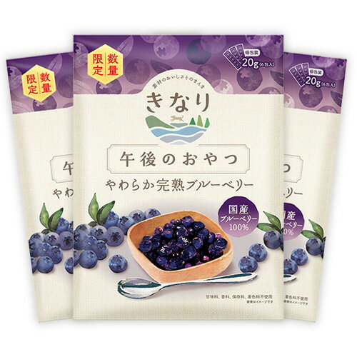 【きなり】午後のおやつ　やわらか完熟ブルーベリー【数量限定】　20g×3袋【15時までの注文で当日発送 正規品 おやつ 乾燥野菜・果物 犬用】のサムネイル