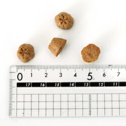 【ロータス】ロータス アダルト チキンレシピ 小粒 1kg
