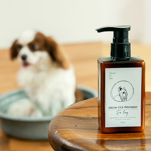 �ڥͥ����㡼�ե����ɥå���SPECIAL CICA TREATMENT For LONG��300ml��15���ޤǤ���ʸ������ȯ�� ������ �����ס������ ���ѡ�