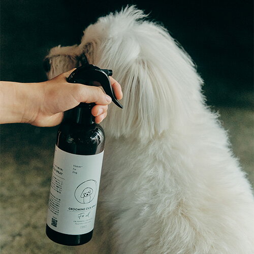 【ネイチャーフォードッグ】GROOMING CICA SPRAY　300ml【15時までの注文で当日発送 正規品 グルーミング用品 犬用】 2