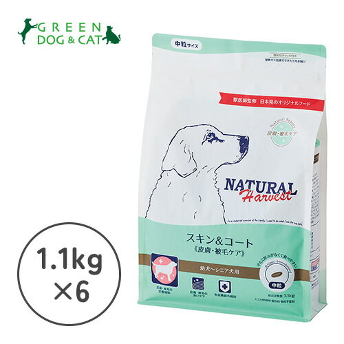 【ナチュラルハーベスト】スキン&コート 1.1kg×6【15時までの注文で当日発送 正規品 ドライフード 犬用 成犬 子犬】