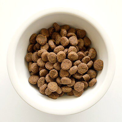【オリジン】オリジン　シニア　2kg【15時までの注文で当日発送 正規品 ドライフード 犬用 老犬】 greendog-10020636 グリーンドッグ&キャット サンプル画像2