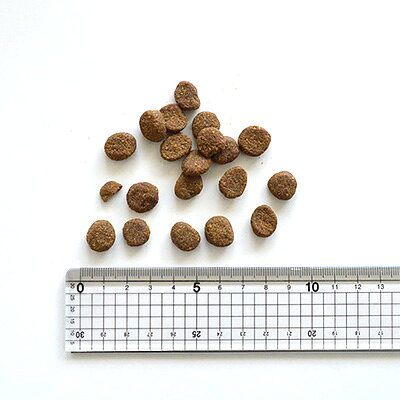 【オリジン】オリジン　シニア　2kg【15時までの注文で当日発送 正規品 ドライフード 犬用 老犬】 greendog-10020636 グリーンドッグ&キャット サンプル画像3