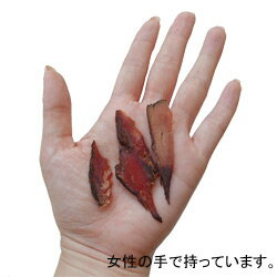 【ウィズ グリーンドッグ】焼津かつお 厚削り 40g【3,300円以上で送料無料 15時までの注文で当日発送 正規品 トッピング食材 魚介類 犬用 猫用】