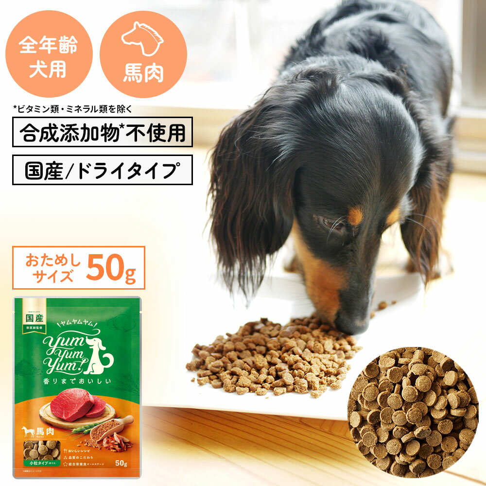 【ヤムヤムヤム】yum yum yum！ 馬肉 ドライタイプ　ちょこっとパック50g【3,300円以上で送料無料 15時までの注文で当日発送 正規品 ドライフード 犬用 成犬用 アダルト 老犬用 シニア犬 子犬用 パピー】のサムネイル