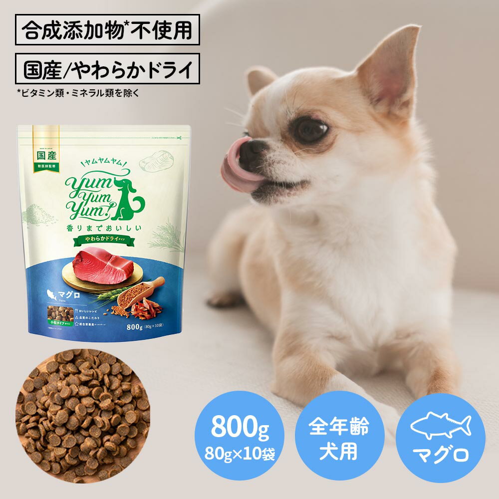 【ヤムヤムヤム】yum yum yum！ マグロ やわらかドライタイプ　800g（80g×10袋）【15時までの注文で当日発送 正規品 ドライフード 犬用 成犬用 アダルト 老犬用 シニア犬 子犬用 パピー】