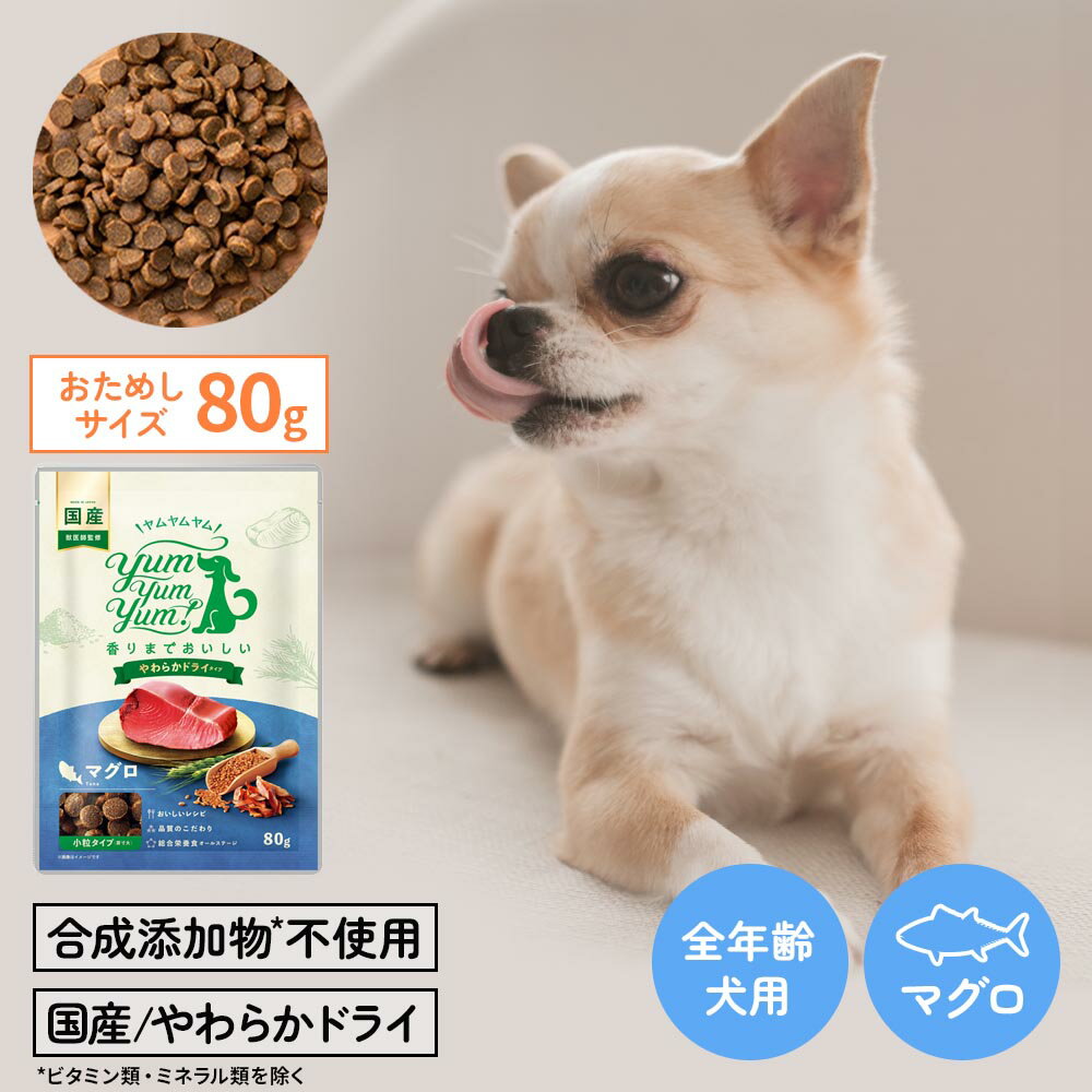 【ヤムヤムヤム】yum yum yum！ マグロ やわらかドライタイプ　ちょこっとパック80g【15時までの注文で当日発送 正規品 ドライフード 犬用 成犬用 アダルト 老犬用 シニア犬 子犬用 パピー】