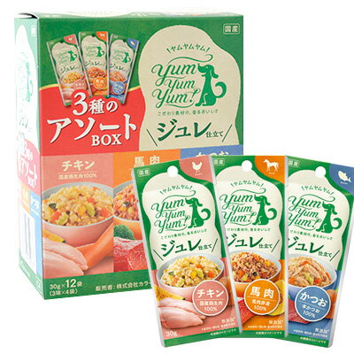 【ヤムヤムヤム】yum yum yum ジュレ仕立て 3種のアソートBOX 30g 12袋 3種各4袋 【15時までの注文で当日発送 正規品 ウェットフード 犬用 成犬用 アダルト】