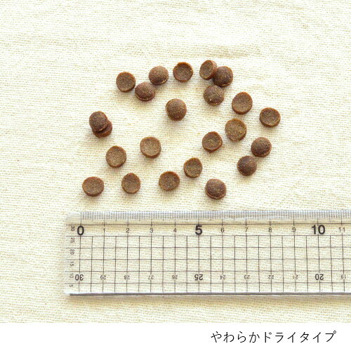 【ヤムヤムヤム】yum yum yum！ シニア＆ライト　お試しセット　50g×2種類＋80g×2種類【15時までの注文で当日発送 正規品 ドライフード 犬用 老犬 成犬】 greendog-10021416 グリーンドッグ&キャット サンプル画像3