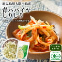 ★ポイント5倍★青パパイヤ しりしり 乾燥野菜 酵素 国産 鹿児島県産 50g 有機JAS認証 パパイン 料理 ポリフェノール ビタミン 食品 料理 無添加 美...
