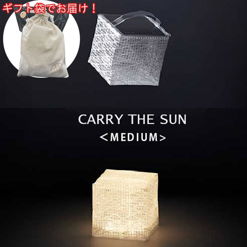 CARRYTHESUNMediumޤꤿLED󥿥۸ŷ̻ӥѥȥ饤ȥץȥɥ