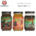 アップビートソース 音楽と食を融合させた新感覚ソース 漬込みソース 3種セット ジャークチキン 生姜焼き ハニーソース 和風 エスニック 和高醸造 醤油 味噌 MIX 漬け込みだれ 焼き肉のたれ トルティーヤ タコス ピザ 調味料 バーベキュー BBQ アウトドア 用品 キャンプ