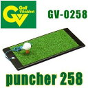タバタ GV-0258 練習用品 パンチャー258