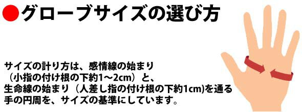 タイトリスト パーマ テック ゴルフグローブ TG68