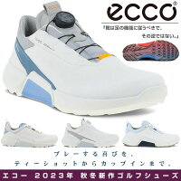 ECCO塼