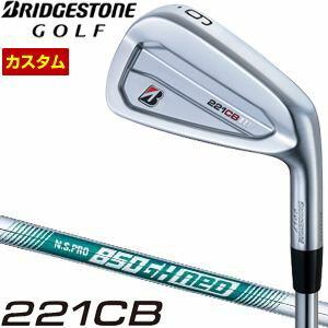 bs22-221cbi-cs11.jpg bs22-221cbi-cs11.jpg