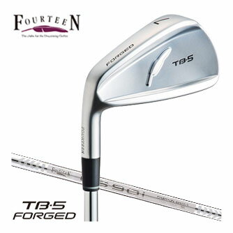 フォーティーン TB-5 Forged 左用 アイアン FS-90i ス