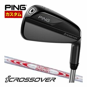 []९ ԥ i С N.S.PRO MODUS3 TOUR130 ե
