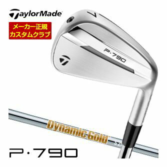 中古 テーラーメイド P-790 アイアン 2023 だぶつい AW D/G 95[5410 中古 テーラーメイド P-790 アイアン 2023 だぶつい AW D/G 95[5410