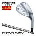 特注カスタムクラブ ブリヂストンゴルフ BITING SPIN ウエッジ メッキ仕様 VANQUISH BS50i シャフト