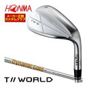 特注カスタムクラブ 本間ゴルフ TW-W 2024 ウエッジ クロム DG95 シャフト