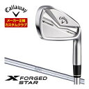 JX^Nu LEFC X FORGED STAR 24 ACA 6{Zbg[5-P] N.S.PRO 950GH Vtg