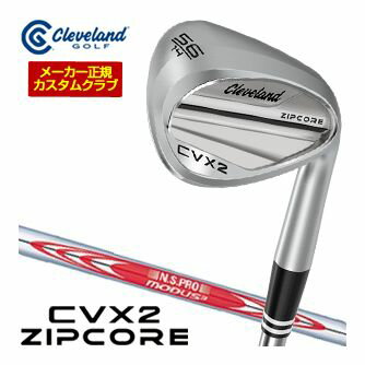 ९ ꡼֥ CVX 2 ZIPCORE å N.S.PRO MODUS3 TOUR115 ե