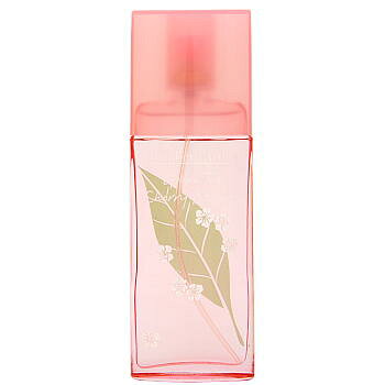 【要エントリー★ポイント10倍！！】【 アウトレット 】 エリザベスアーデン グリーンティー チェリ ...