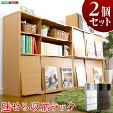 DisplayRack ディスプレイラック2個セット