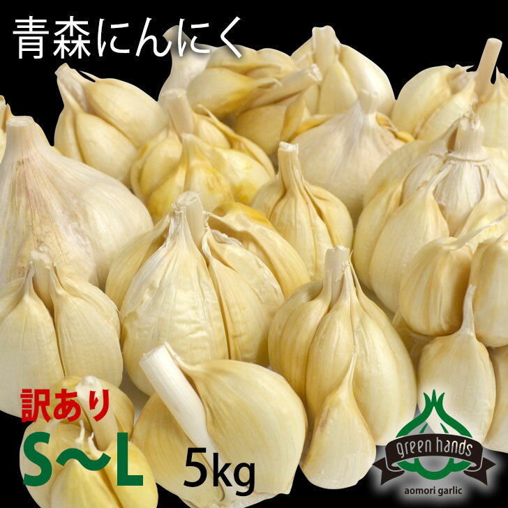 訳あり にんにく 青森県産 5kg S～L不揃い（玉はずれ・型崩れ・変色など）送料無料 ホワイト六片