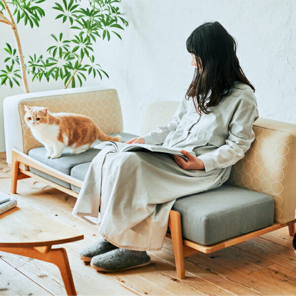 Luu sofa Cat Life model | ե ڥå ڥåȸ ̵ ̵ ̵ȶ 2ͳݤ 3ͳݤ