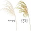 人工観葉植物・グラミネ・パンパスグラス・全長60cm・3本セット(パンパス/白金葦/銀葦/シロガネヨシ)(造花/リーフ/花材/グリーン材/葉材)(アレンジ)
