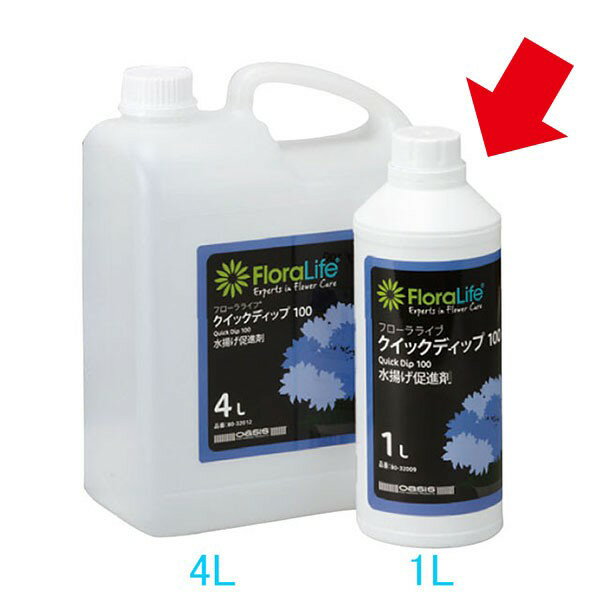クイックディップ（水揚げ促進剤） 容量：1リットル 成分：界面活性剤、ph調整剤、ミネラル ・使い方：切り戻し後、2秒浸して水揚げ処理をするだけ。 ・効果：水揚がりが格段に向上。水が下がってしまった花にも効果的です。 ・クイックディップは最初の水揚げを促進。その状態を保つためには、クリア200やローズクリア200の兼用が効果的です。 ・写真の赤い矢印（1リットル）の商品です。 ・サイズ等は多少前後する場合がございます。 ・画面上の色はブラウザや設定により、実物は異なる場合があります。商品について 水揚げ時間を大幅に短縮する「水揚げ促進剤」。切り戻し後、2秒浸して水揚げ処理をするだけ。水揚がりが格段に向上。水が下がってしまった花にも効果的です。クイックディップは最初の水揚げを促進。その状態を保つためには、クリア200やローズクリア200の兼用が効果的です。花にも人にも快適な環境づくりをサポートします。