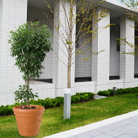 特大サイズ 鉢カバー レッドリーフ プランター 樹脂製 器 全高51 5cm 直径60cm 植木鉢 鉢カバー プランター 器 ポット 観葉植物用 軽量プランター テラコッタイメージ グリーンランド安全性の高い樹脂製プランター テラコッタ風の鉢カバー 特大サイズ 鉢カバー レッドリーフ プランター 樹脂製 器 全高51 5cm 直径60cm 植木鉢 鉢カバー プランター 器 ポット 観葉植物用 軽量プランター テラコッタイメージ グリーンランド安全性の高い樹脂製プランター テラコッタ風の鉢カバー