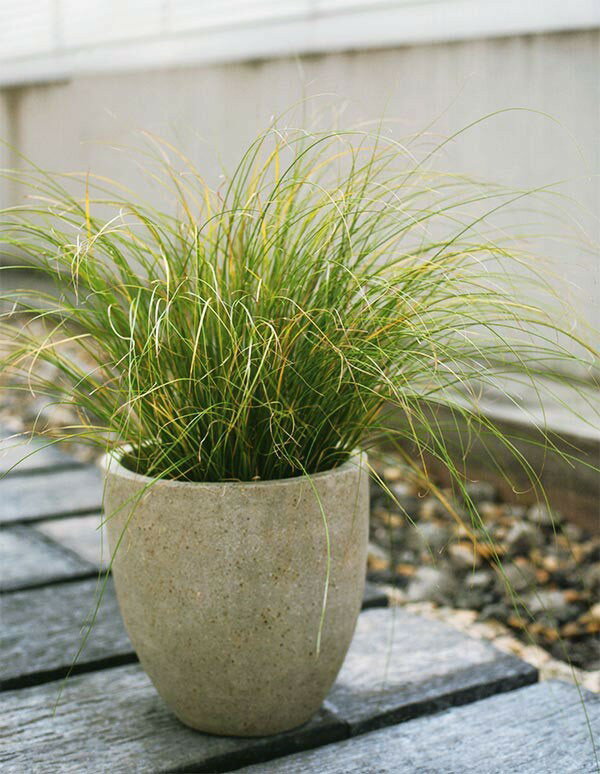 植木鉢・コーテス・ラウンド・30型(10号)(全高30cmtimes;直径30cm)(底穴あり)(セメント/ファイバーグラス/FRP)(プランター/ポット/園芸/ガーデニング)
