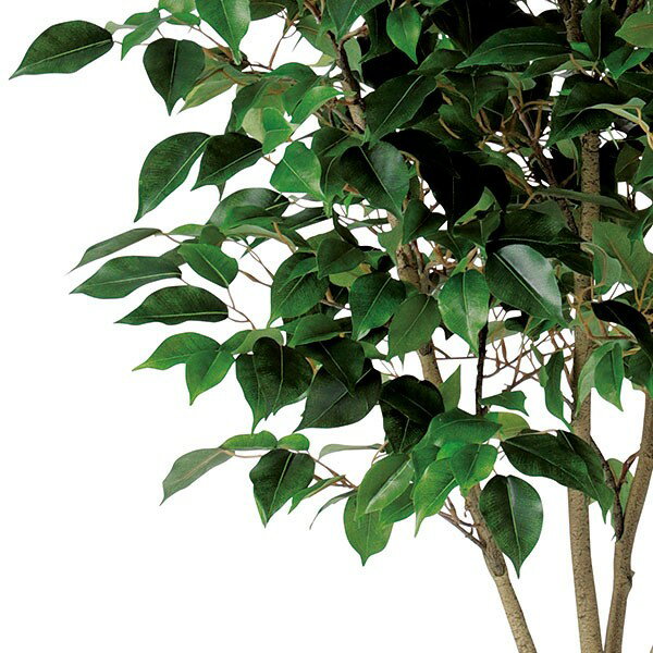人工観葉植物・ベンジャミンの枝・L・全長115cm(人工樹木/造花/リーフ/葉材/フェイクグリーン)(クラシックベンジャミン)(FSTブランチ)(ディスプレイ/装飾)