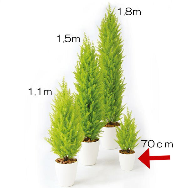 人工観葉植物 全高70cm ゴールドクレスト ライトグリーン コニファー 針葉樹 人工樹木 造花 花材 リーフ フェイクグリーン インテリアグリーン オブジェ ディスプレイ 装飾